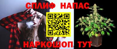 прущие грибы Аргун