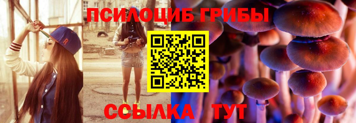 Псилоцибиновые грибы мицелий  Вход с VPN  Дальнегорск  Псилоцибиновые грибы мухоморы 